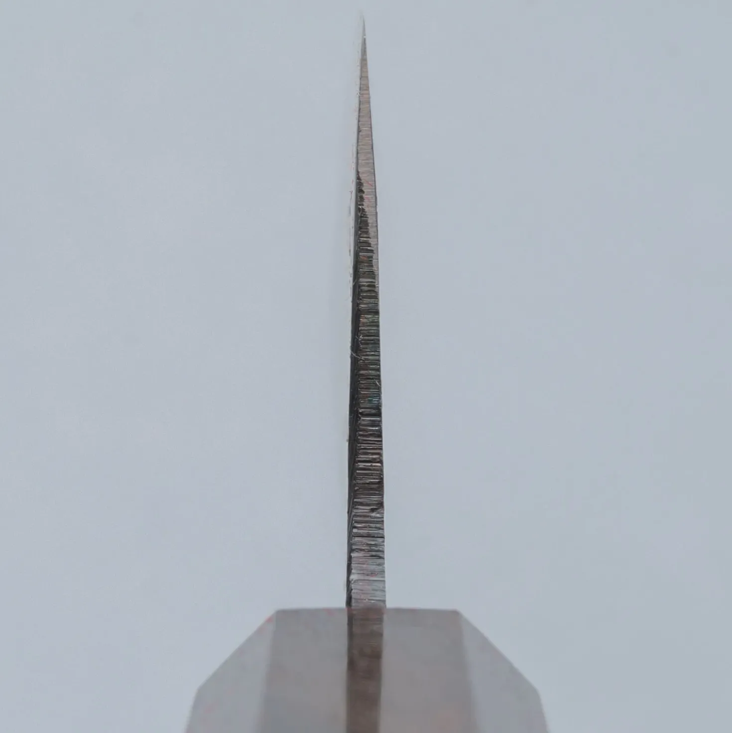 Hatsukokoro Kokugei Aogami Gyuto 21 cm