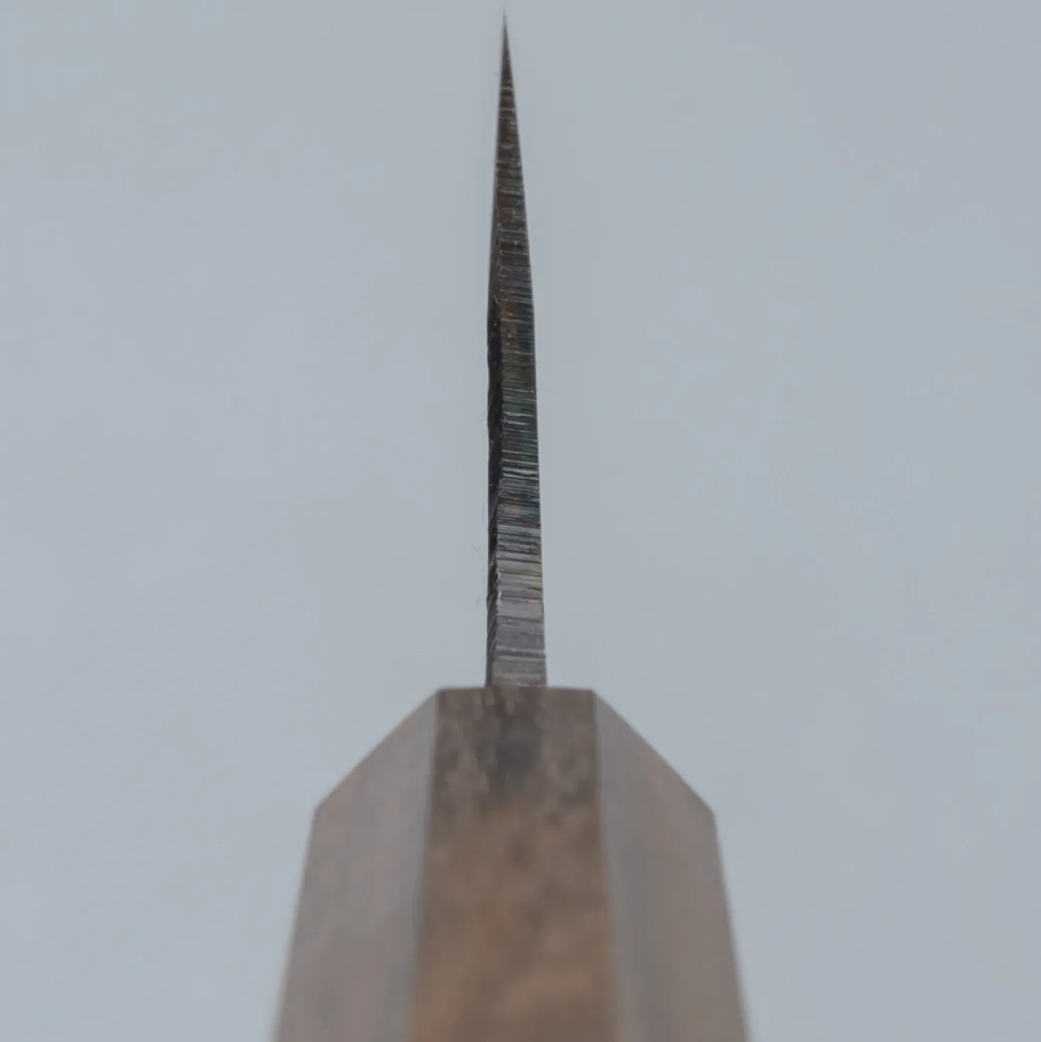 Hatsukokoro Kokugei Aogami Petty 12 cm