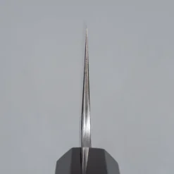 Hatsukokoro Komorebi Aogami 2 Gyuto 24 cm