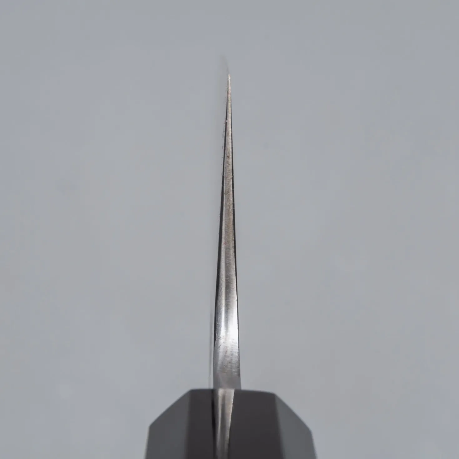 Hatsukokoro Komorebi Aogami 2 Gyuto 24 cm