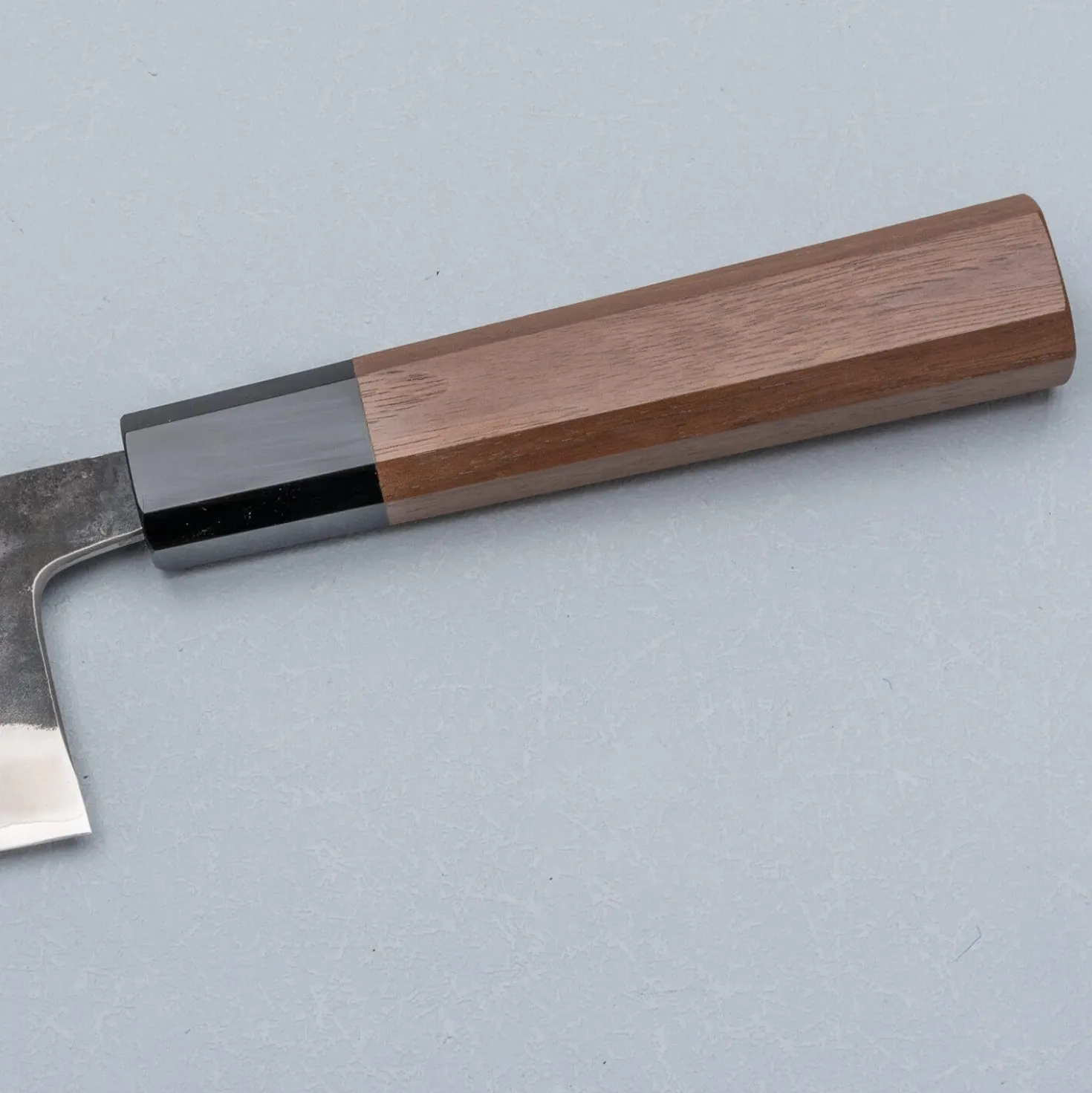 Hatsukokoro Kurokaze Shiro #2 Wide Gyuto 21 cm