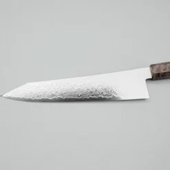 Hatsukokoro Ryuhyo SG2 Damast Birch Kiritsuke Gyuto 21 cm