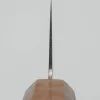 Hatsukokoro Ryuhyo SG2 Damast Birch Gyuto 21 cm