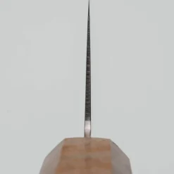 Hatsukokoro Ryuhyo SG2 Damast Birch Gyuto 21 cm