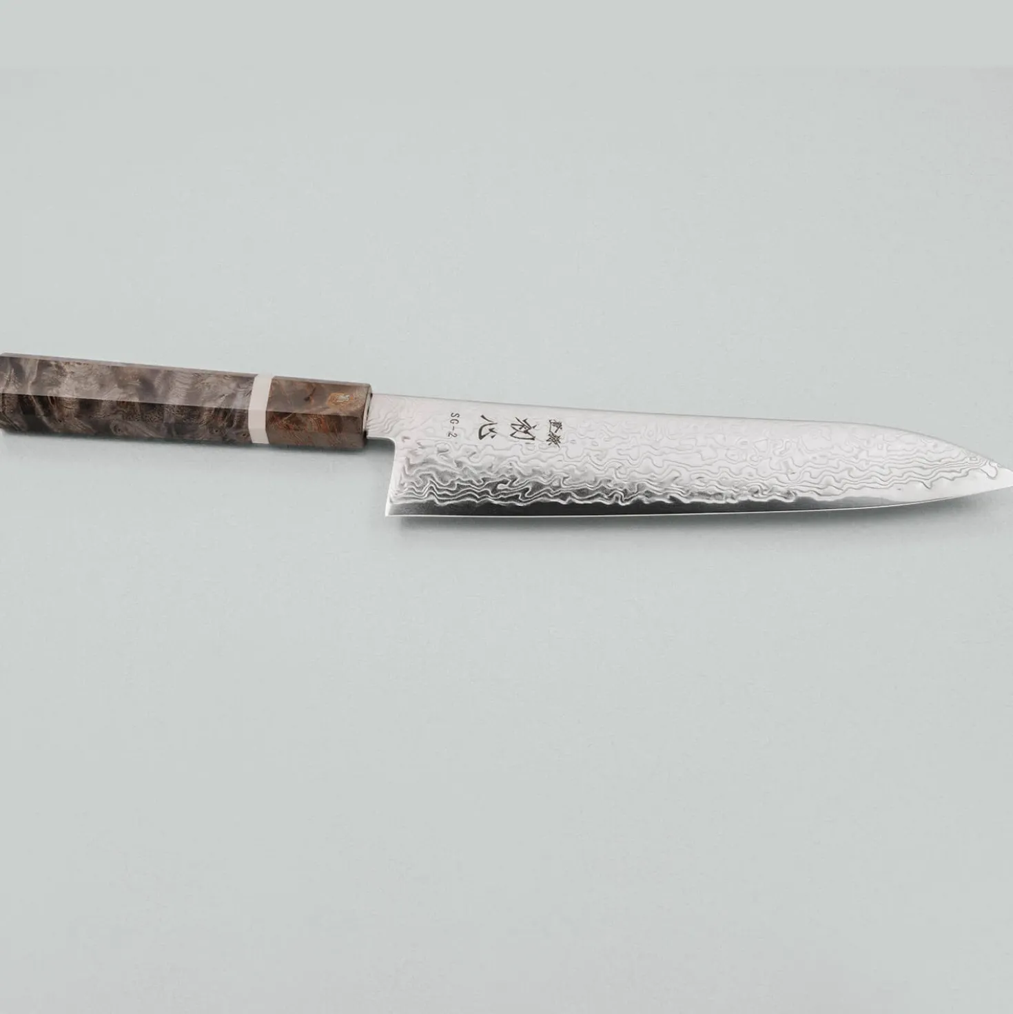 Hatsukokoro Ryuhyo SG2 Damast Birch Gyuto 21 cm