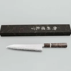 Hatsukokoro Ryuhyo SG2 Damast Birch Gyuto 21 cm