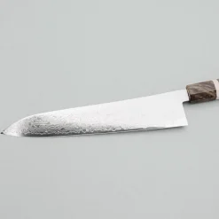 Hatsukokoro Ryuhyo SG2 Damast Birch Gyuto 24 cm