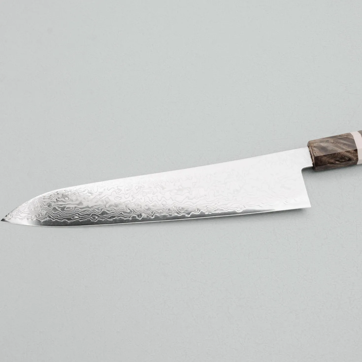 Hatsukokoro Ryuhyo SG2 Damast Birch Gyuto 24 cm