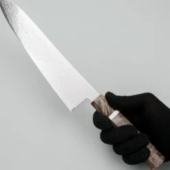 Hatsukokoro Ryuhyo SG2 Damast Birch Gyuto 24 cm