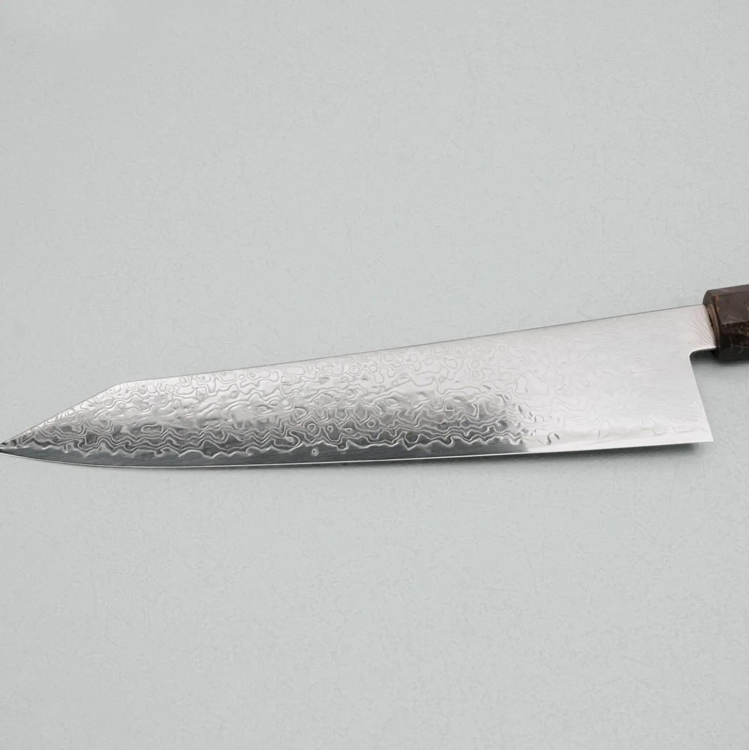 Hatsukokoro Ryuhyo SG2 Damast Birch Kiritsuke Gyuto 24 cm