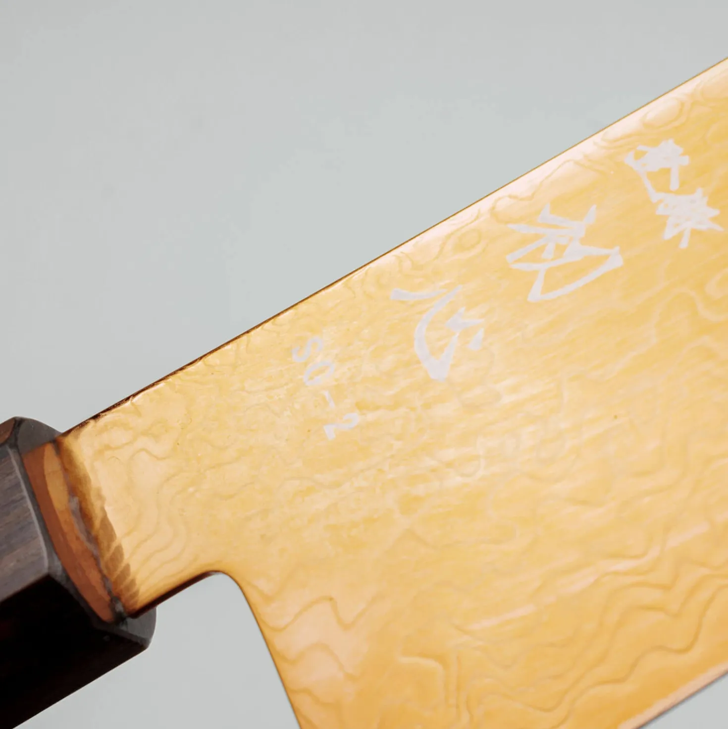 Hatsukokoro Ryuhyo SG2 Damast Ebony Brown Coating Gyuto 21 cm