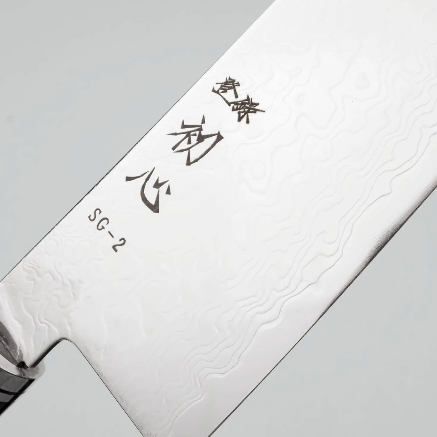 Hatsukokoro Ryuhyo SG2 Damast Curved Ebony Gyuto 24 cm