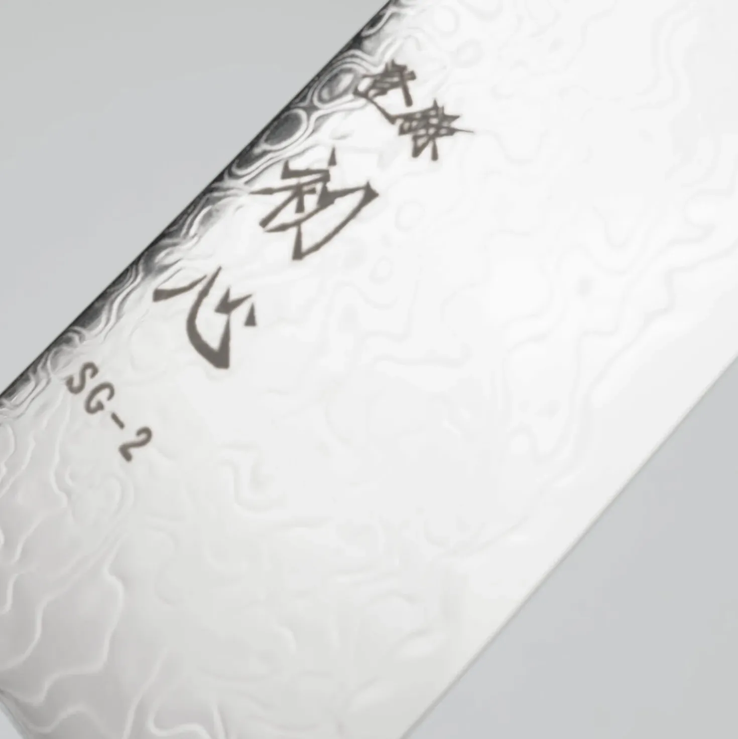 Hatsukokoro Ryuhyo SG2 Damast Curved Ebony Gyuto 21 cm