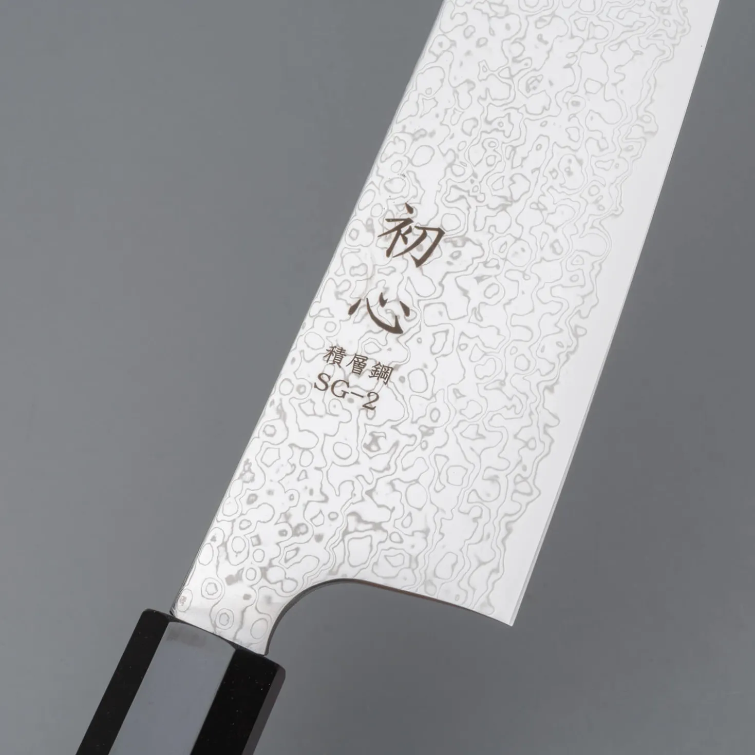 Hatsukokoro Saihyo SG2 Damast Gyuto 24 cm