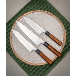 Hatsukokoro Saihyo SG2 Damast Gyuto 21 cm