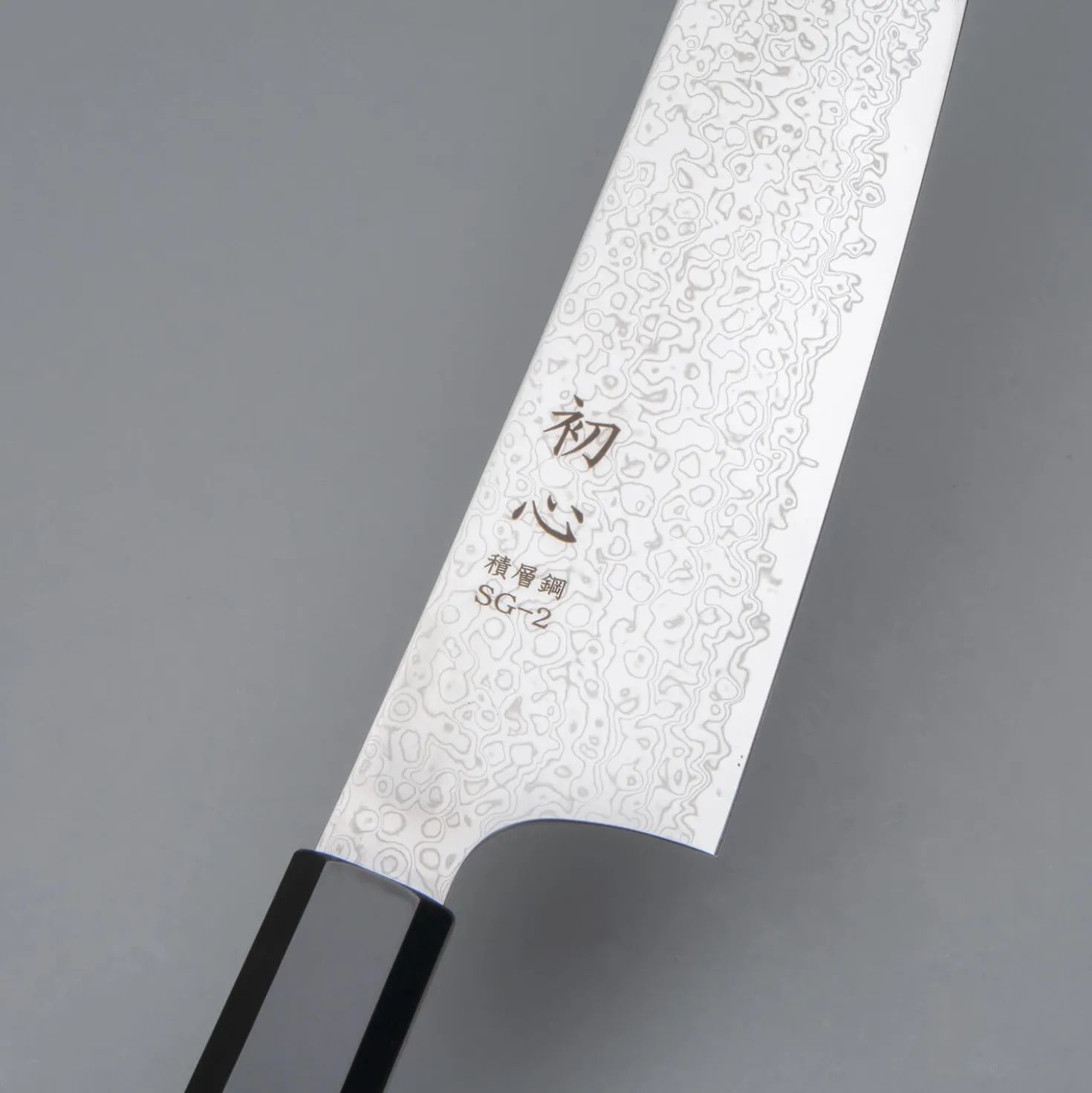 Hatsukokoro Saihyo SG2 Damast Gyuto 21 cm
