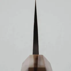 Hatsukokoro Shinkiro Aogami Super Horn Kiritsuke Gyuto 21 cm