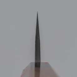 Hatsukokoro Shinkiro Aogami Super Gyuto 21 cm