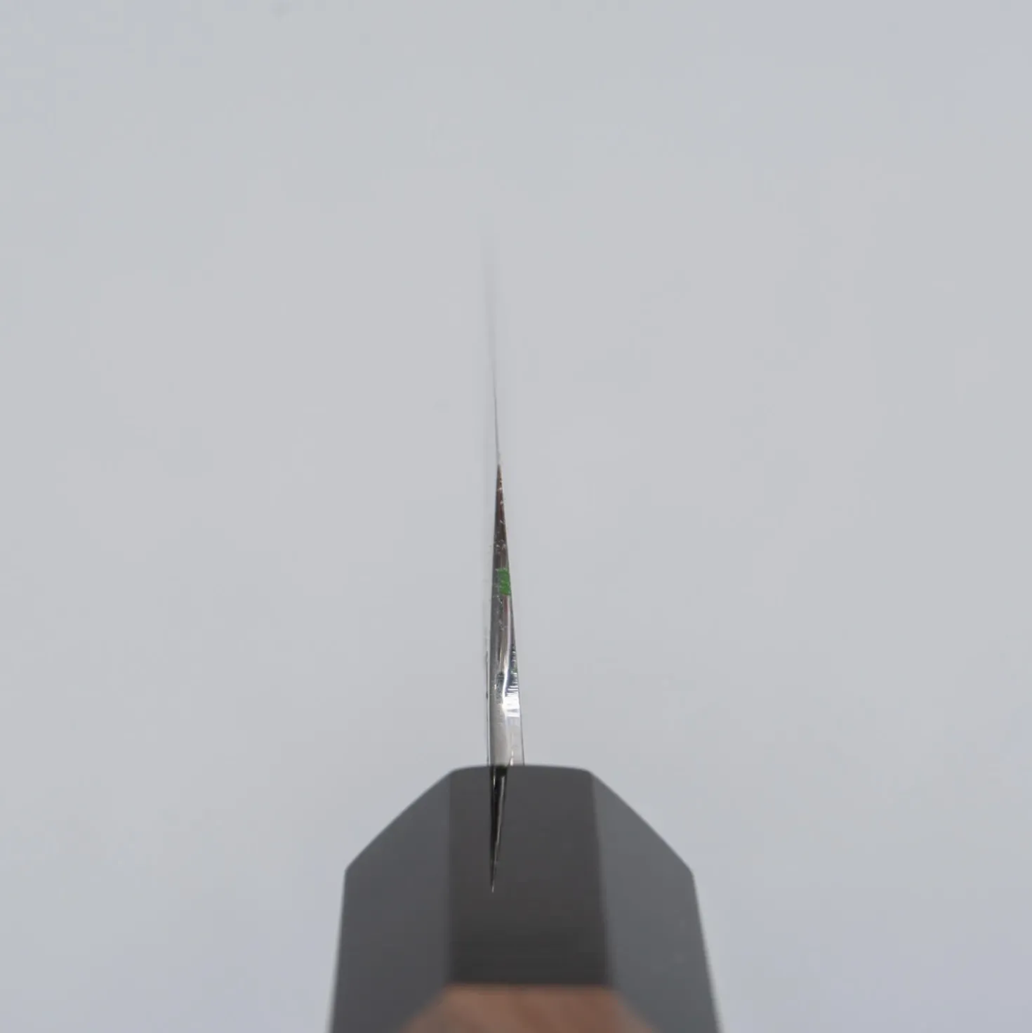 Hatsukokoro Shirahama Shiro #2 Petty 12 cm