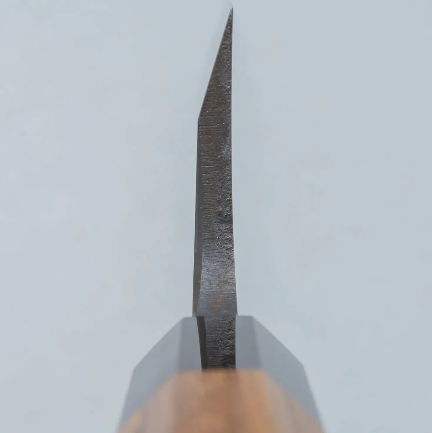 Hatsukokoro Shirasagi Ginsan Single Bevel Deba 18 cm