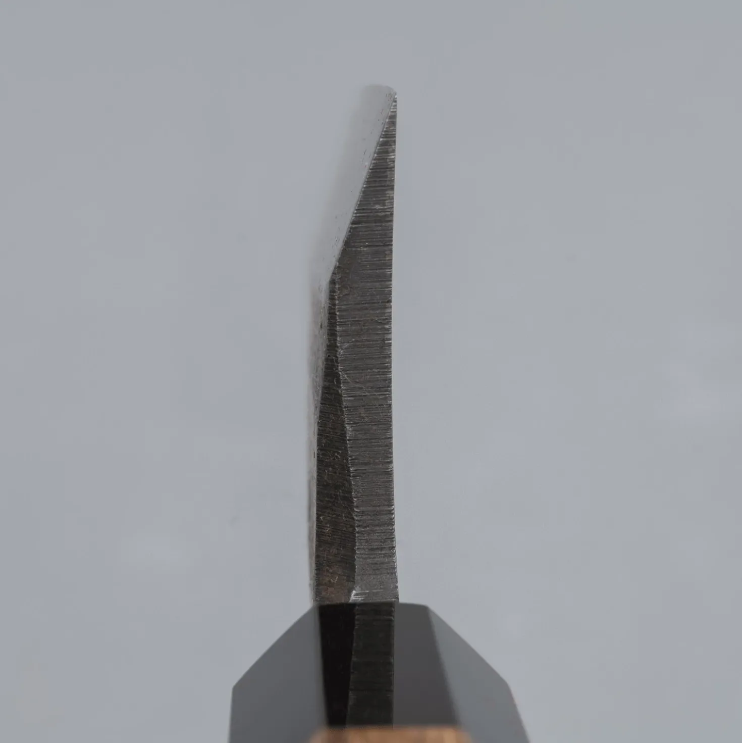 Hatsukokoro Shirasagi Kurouchi Single Bevel Kiritsuke Deba 18 cm