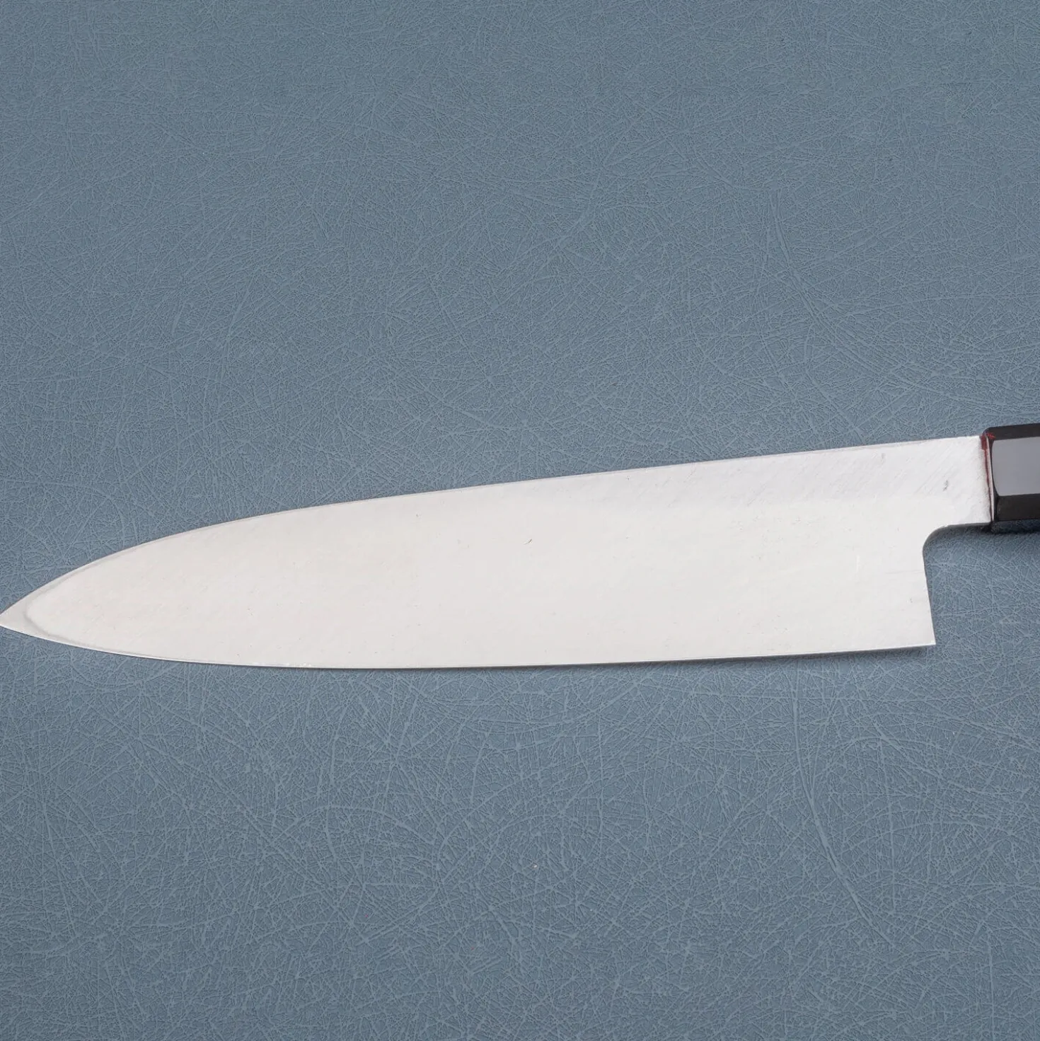 Hatsukokoro Shirasagi Kurouchi Single Bevel Kiritsuke Gyuto 21 cm