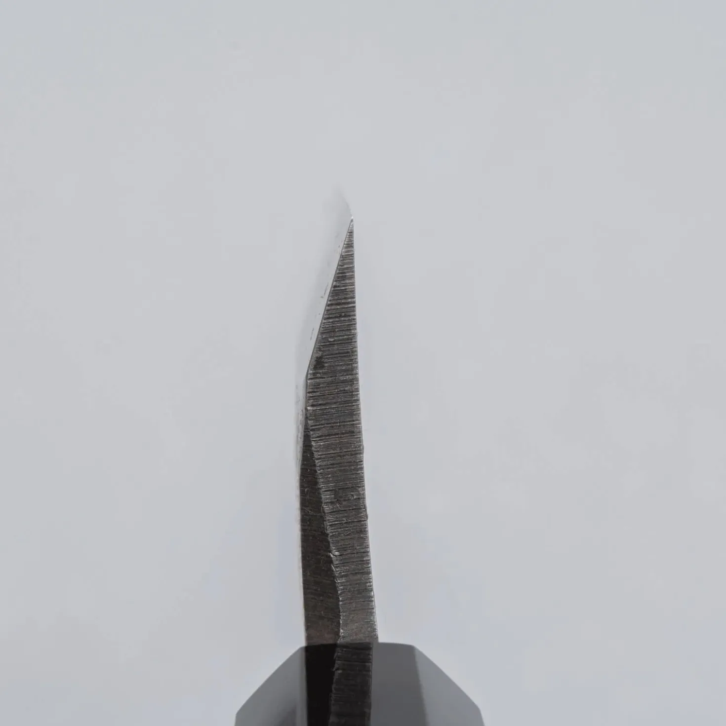 Hatsukokoro Shirasagi Kurouchi Single Bevel Kiritsuke Deba 15 cm