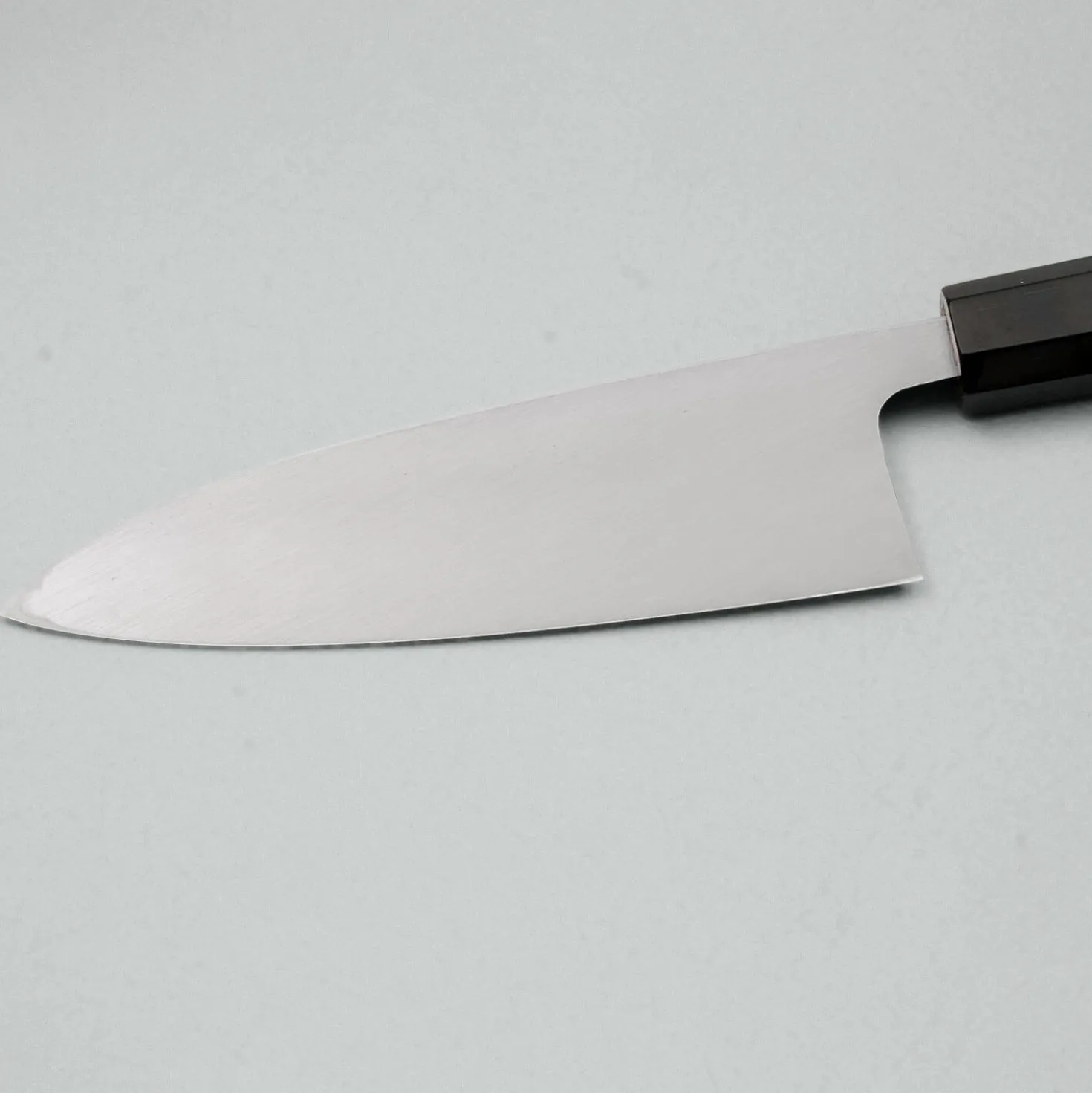 Hatsukokoro Shirasagi Kurouchi Single Bevel Deba 16.5 cm