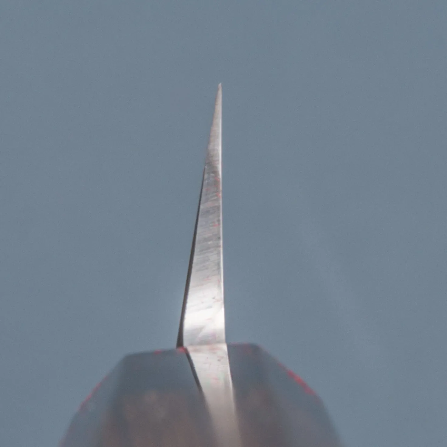 Hatsukokoro Shirasagi Single Bevel Kiritsuke Yanagiba 30 cm