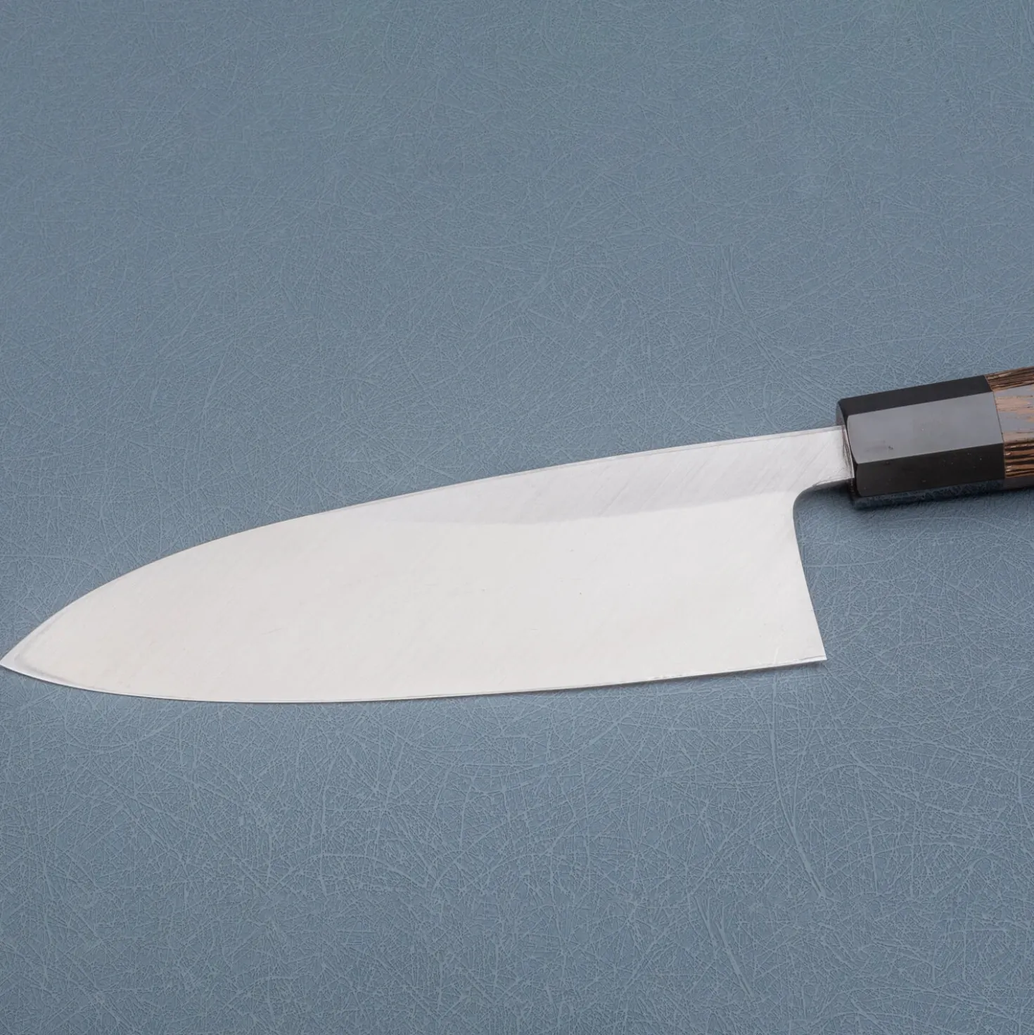 Hatsukokoro Shirasagi Single Bevel Deba 18 cm