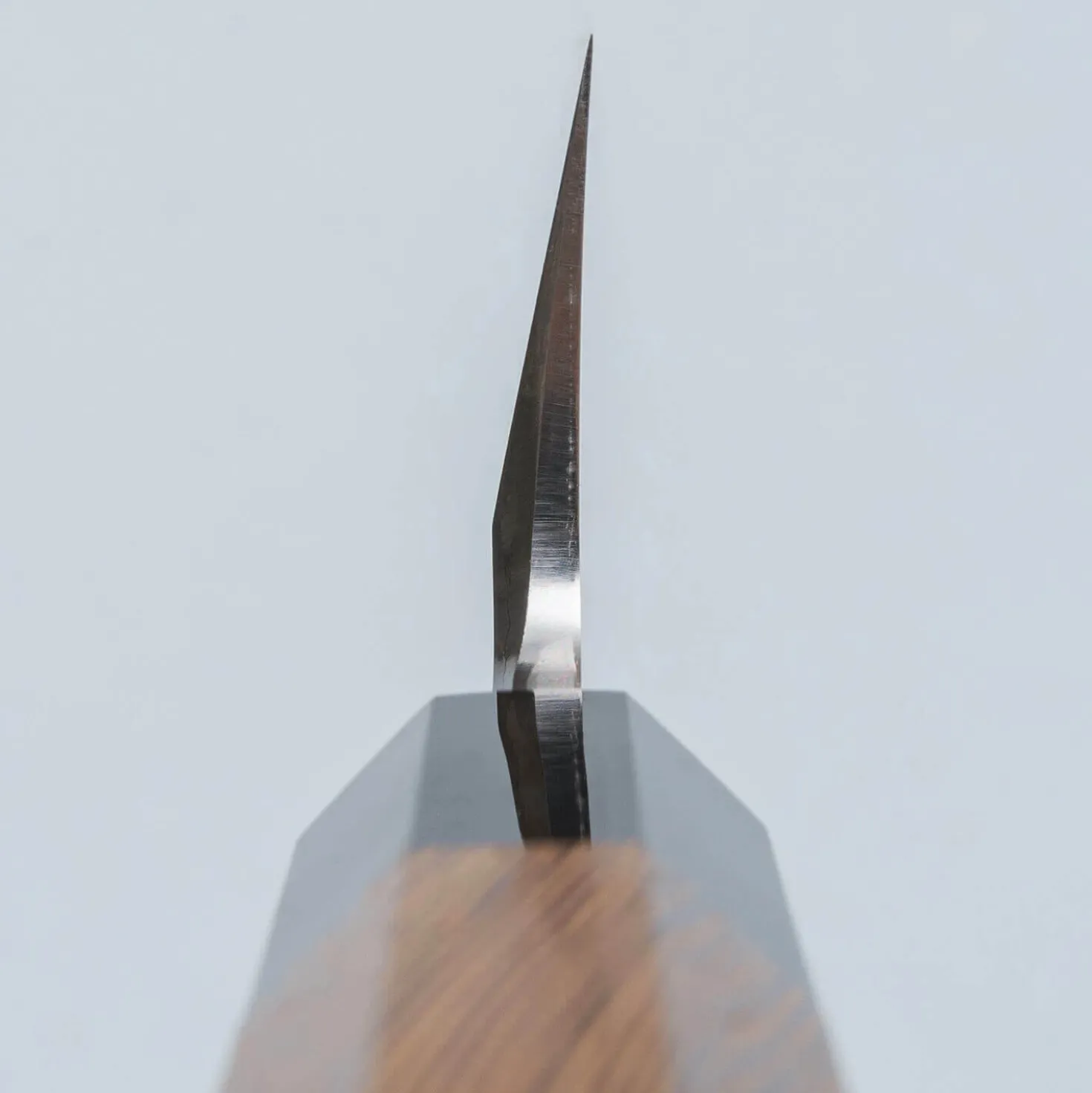 Hatsukokoro Shirasagi Single Bevel Kiritsuke 21 cm