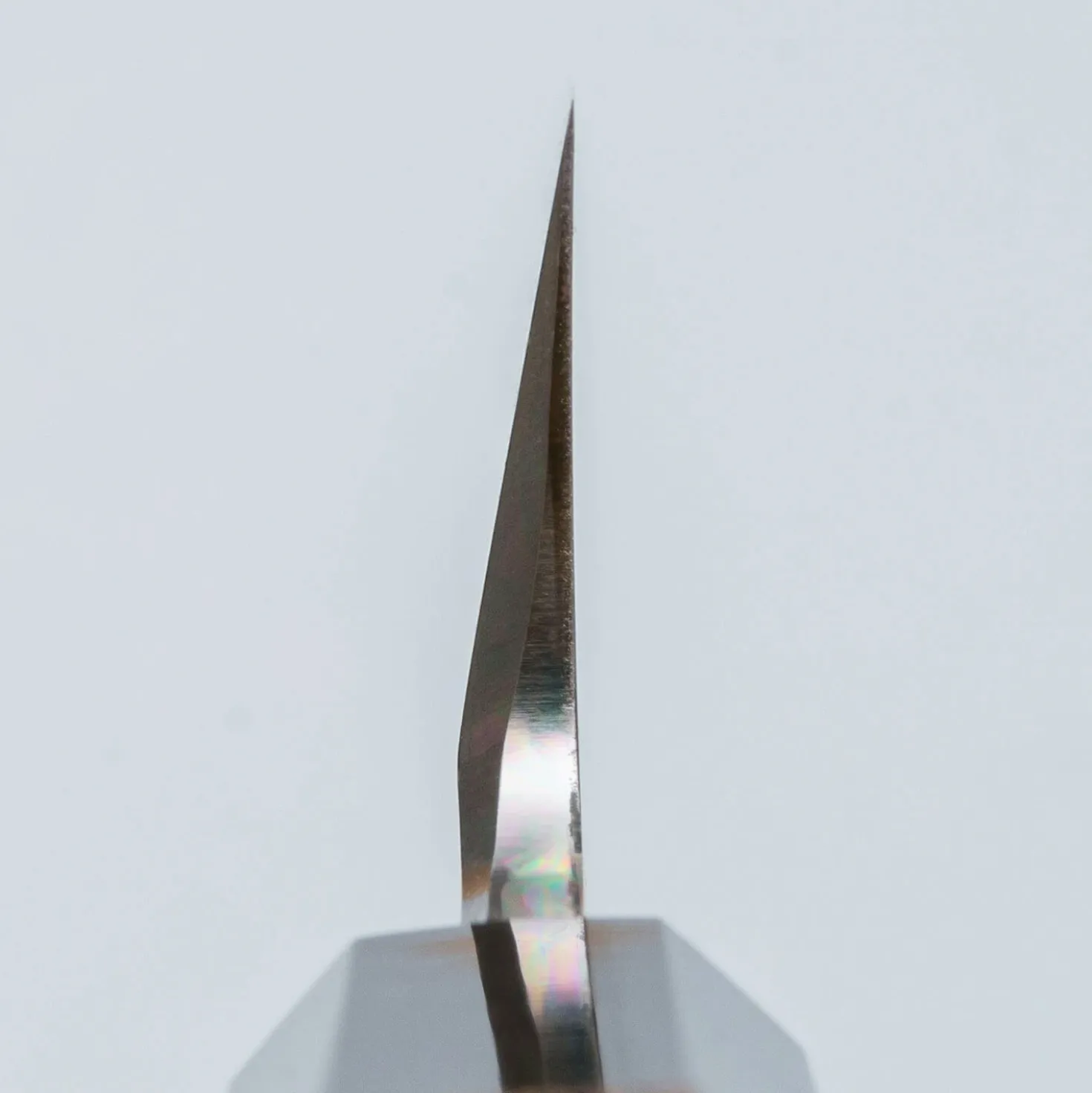 Hatsukokoro Shirasagi Single Bevel Kiritsuke 19.5 cm