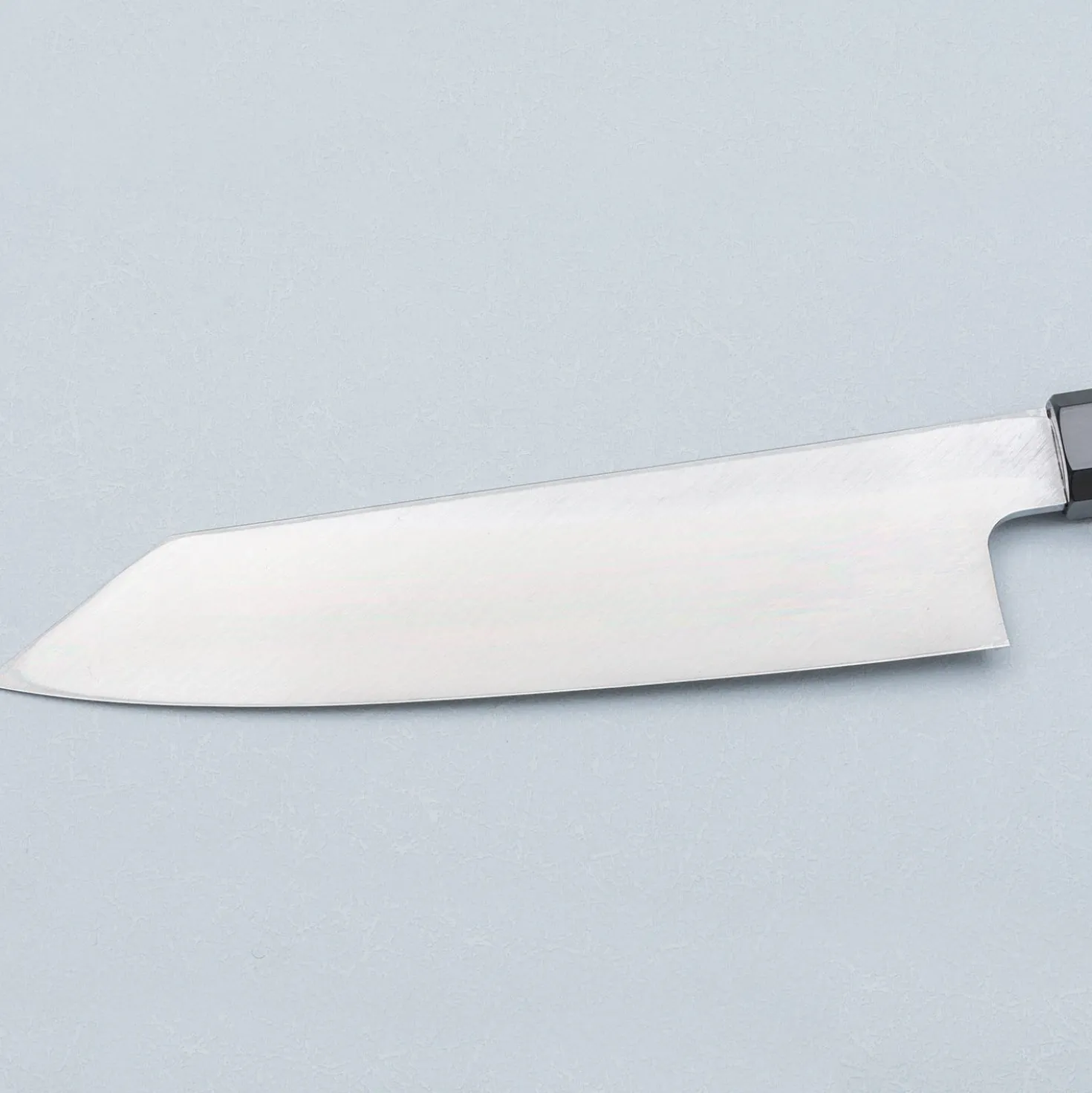 Hatsukokoro Shirasagi Single Bevel Kiritsuke 19.5 cm