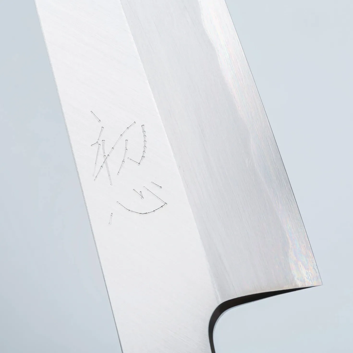 Hatsukokoro Shirasagi Single Bevel Kiritsuke 19.5 cm
