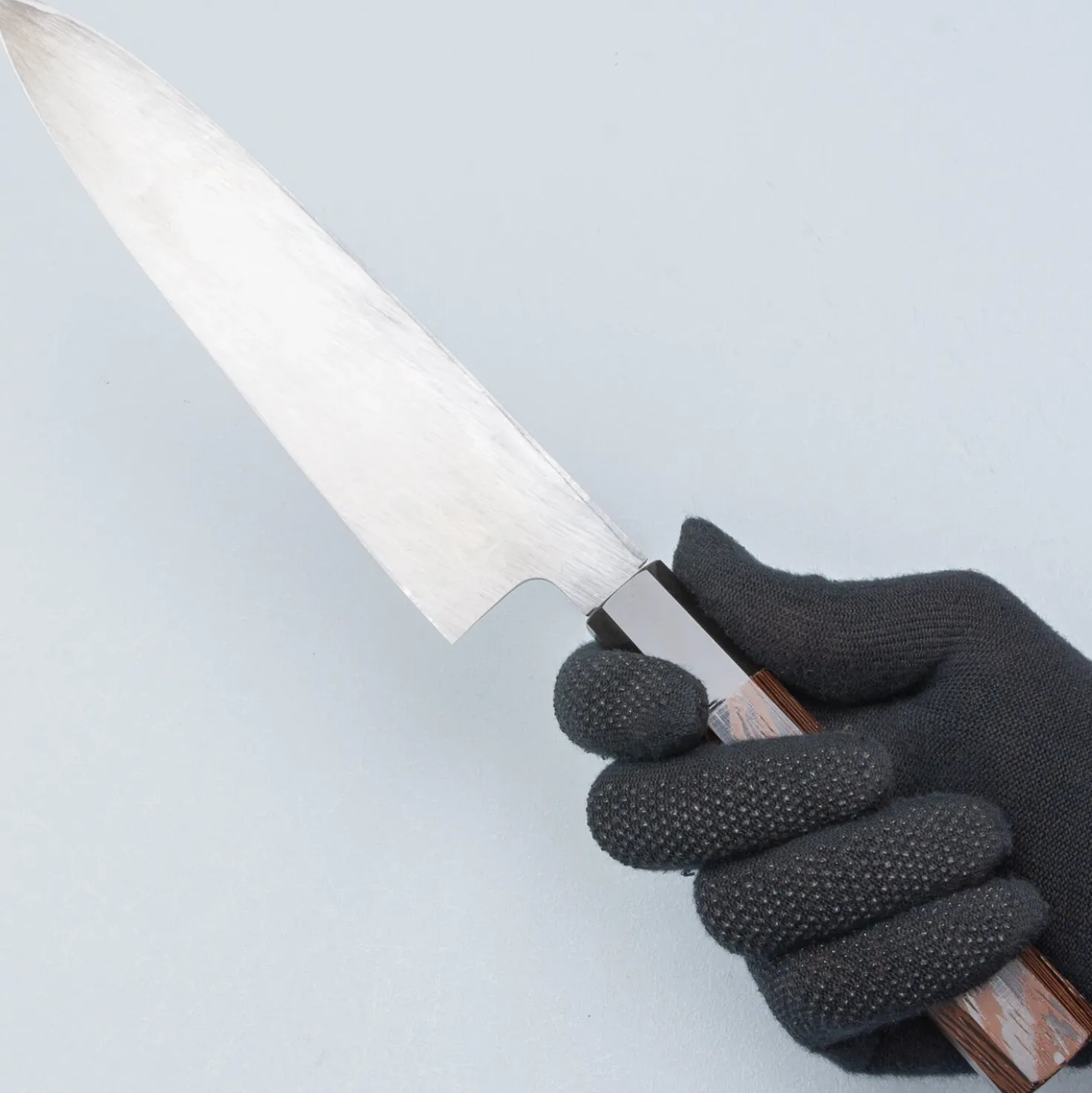 Hatsukokoro Shirasagi Single Bevel Gyuto 21 cm