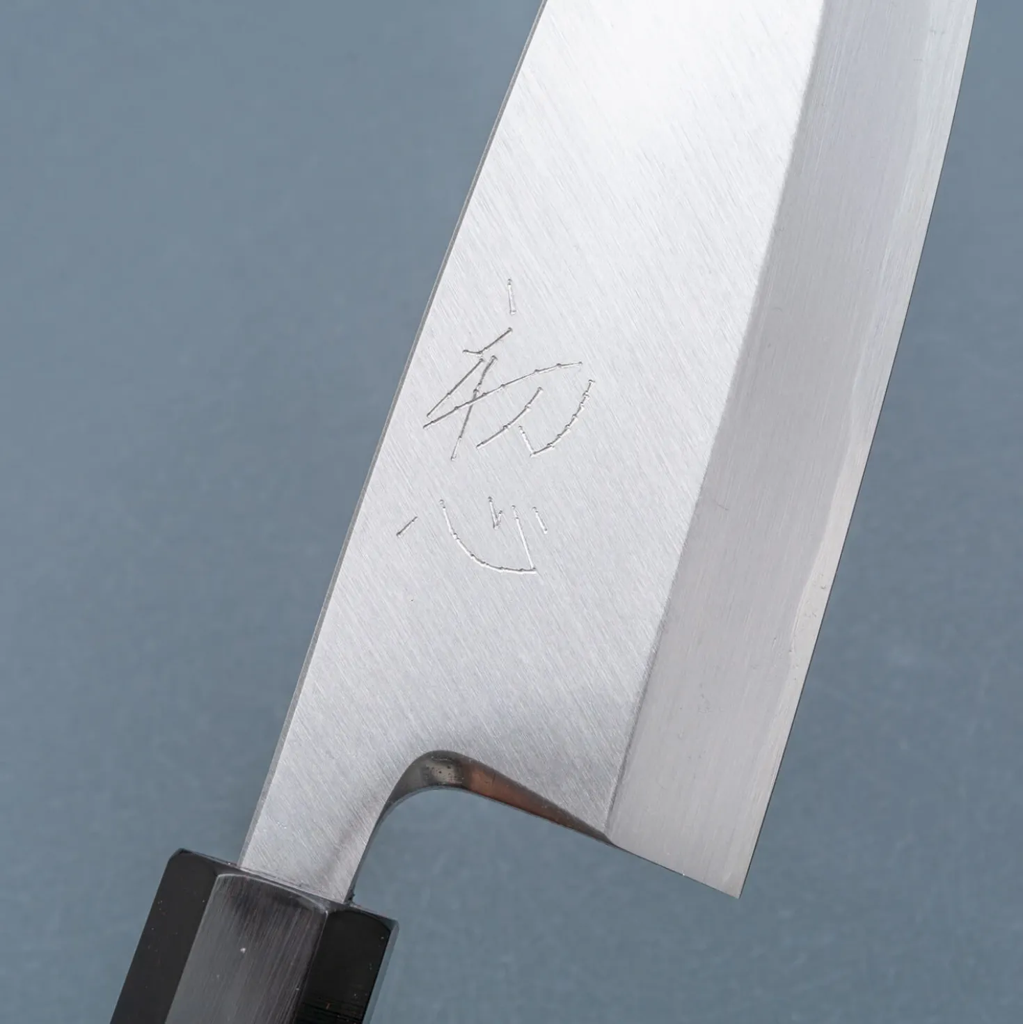 Hatsukokoro Shirasagi Single Bevel Deba 16.5 cm