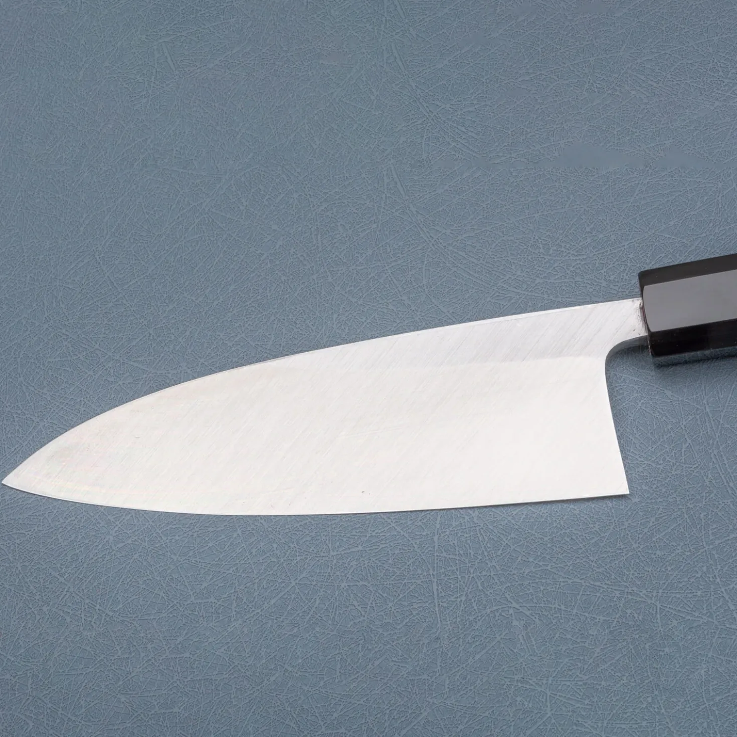 Hatsukokoro Shirasagi Single Bevel Deba 15 cm