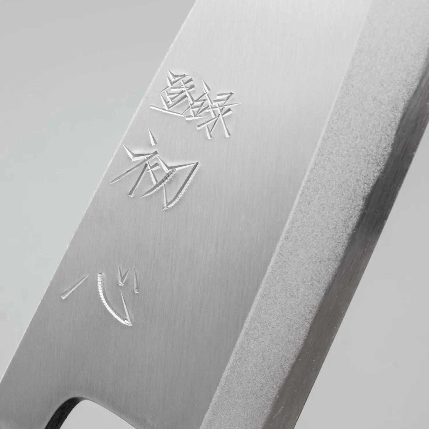 Hatsukokoro Shirasagi SK Deba 15 cm