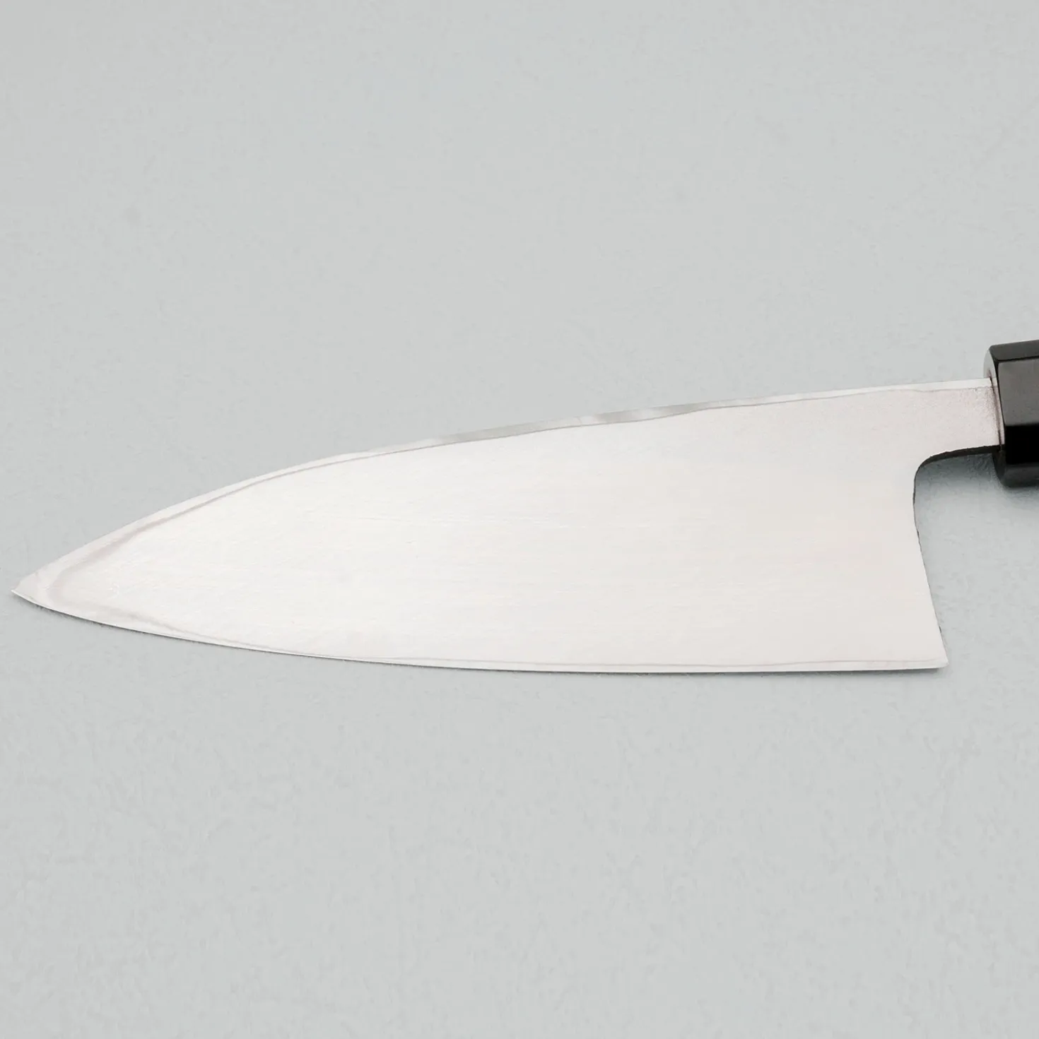 Hatsukokoro Shirasagi SK Deba 15 cm