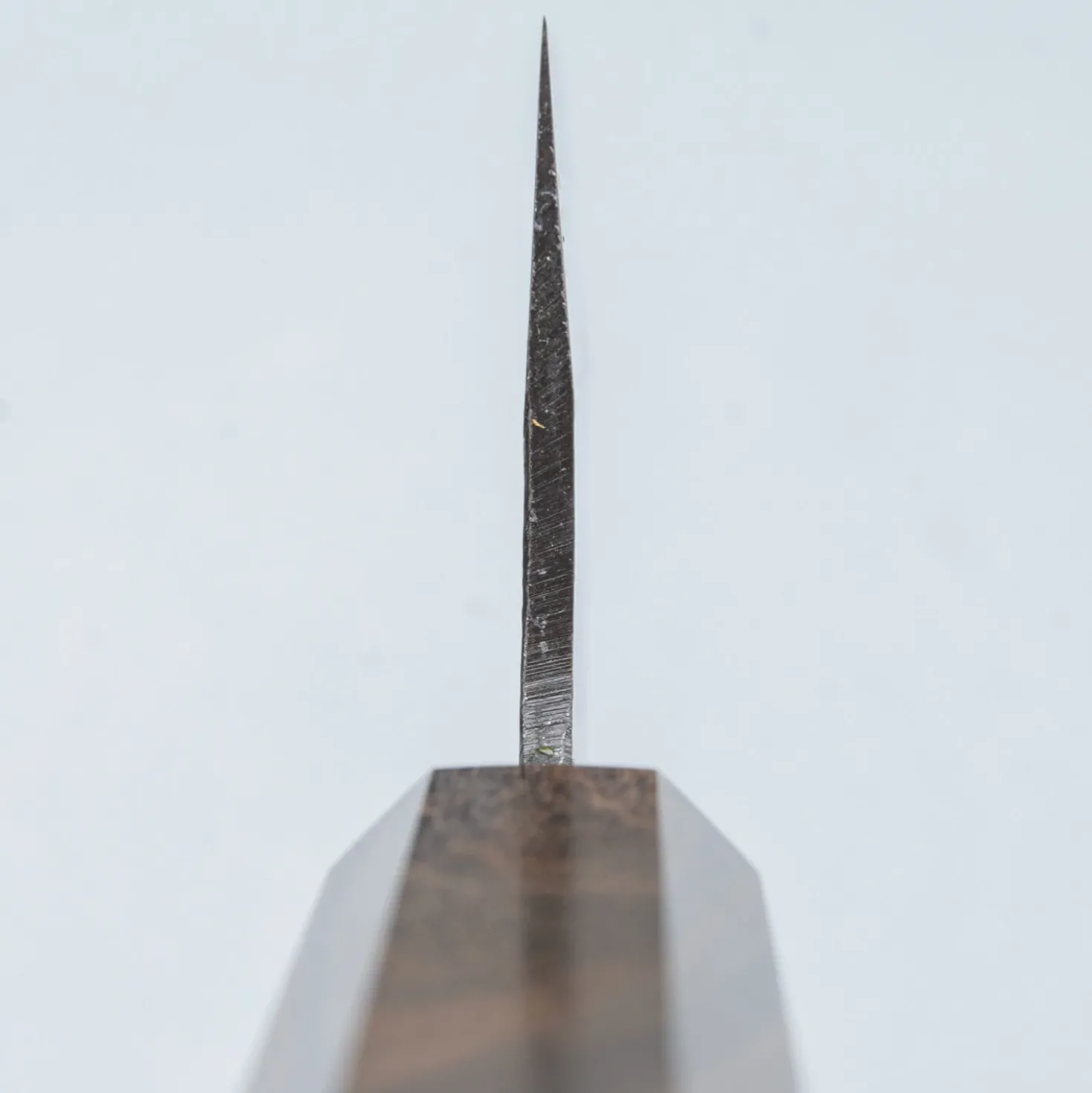 Hatsukokoro x Takeo Murata Aogami #1 Gyuto 21 cm