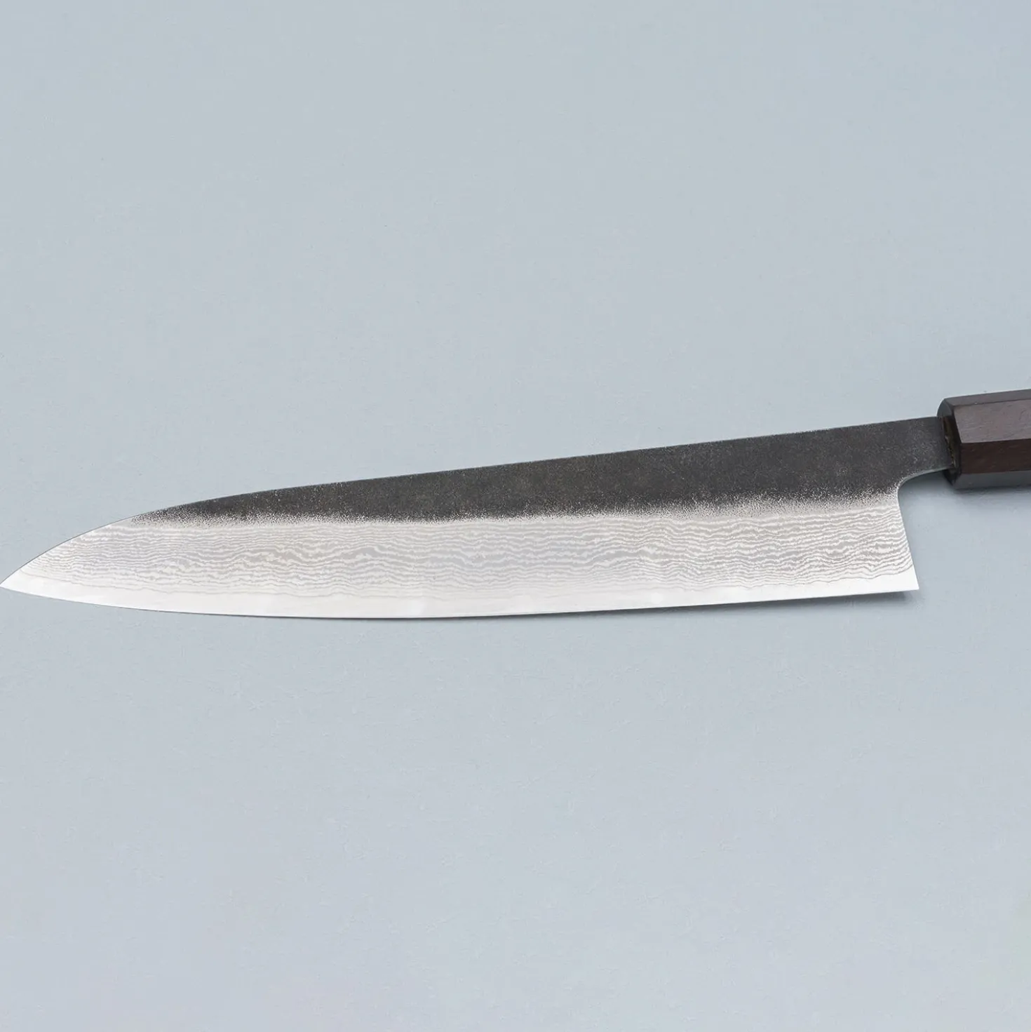 Hatsukokoro x Tojiro Handmade VG10 Damast Gyuto 24 cm
