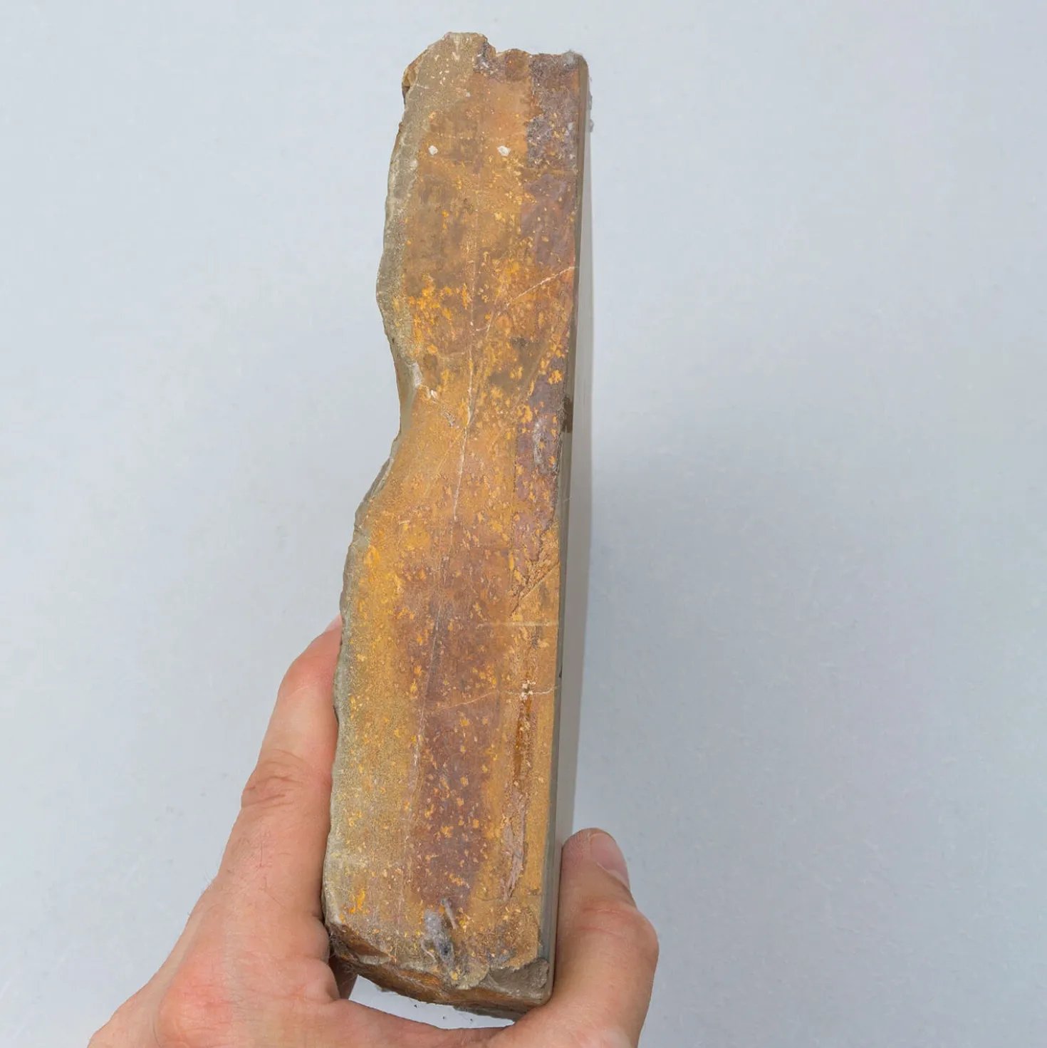Hideriyama Koppa 19 x 19 x 4.5 cm