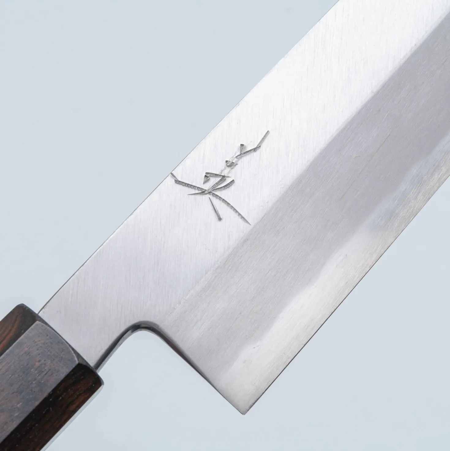 Hide Shirogami #2 Single Bevel Kiritsuke 21 cm