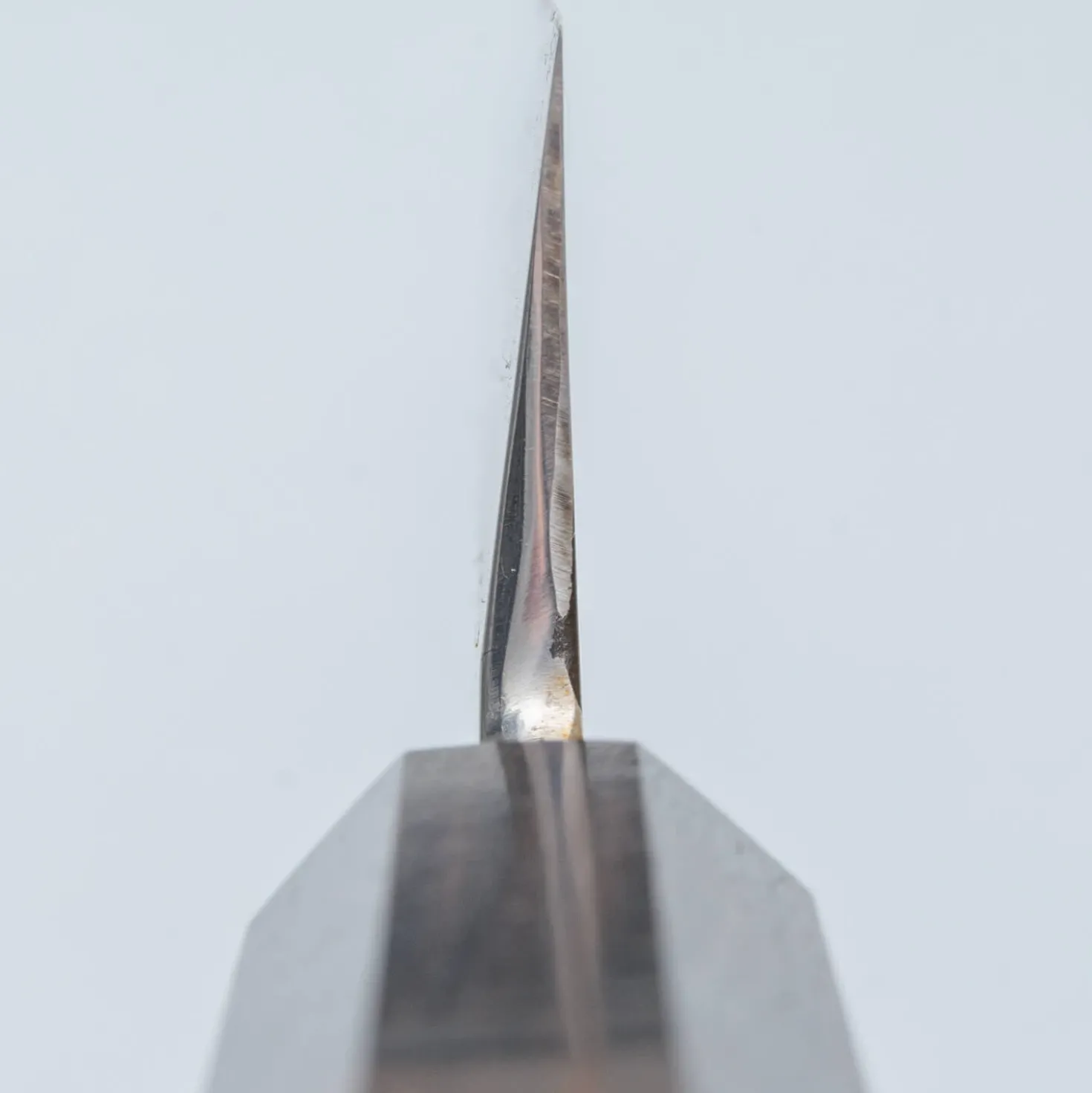 Hide Shirogami #2 Single Bevel Kiritsuke 21 cm