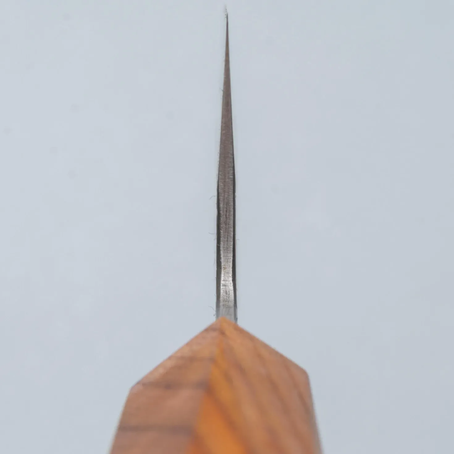 Isamitsu Shirogami #1 Kiritsuke 24 cm