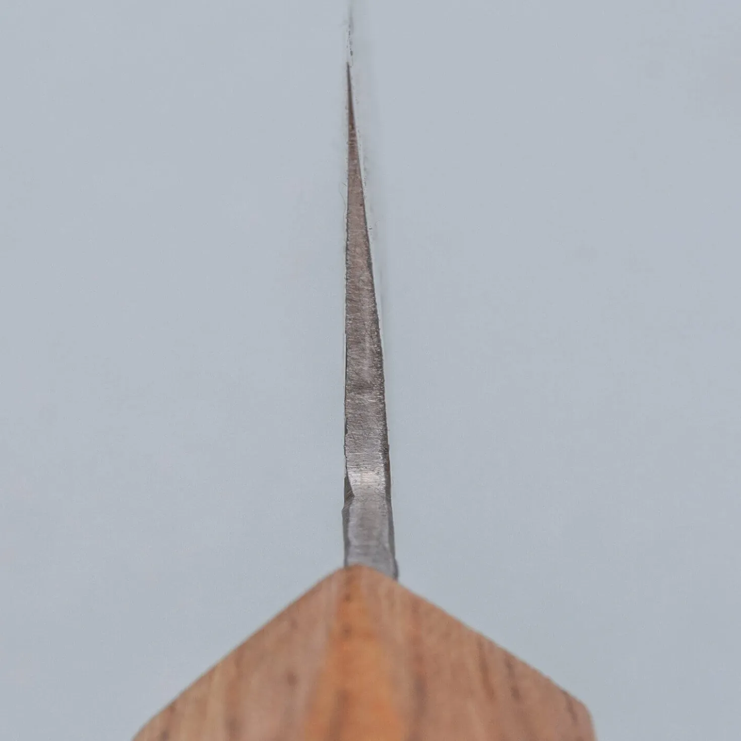 Isamitsu Shirogami #1 Kiritsuke 18 cm