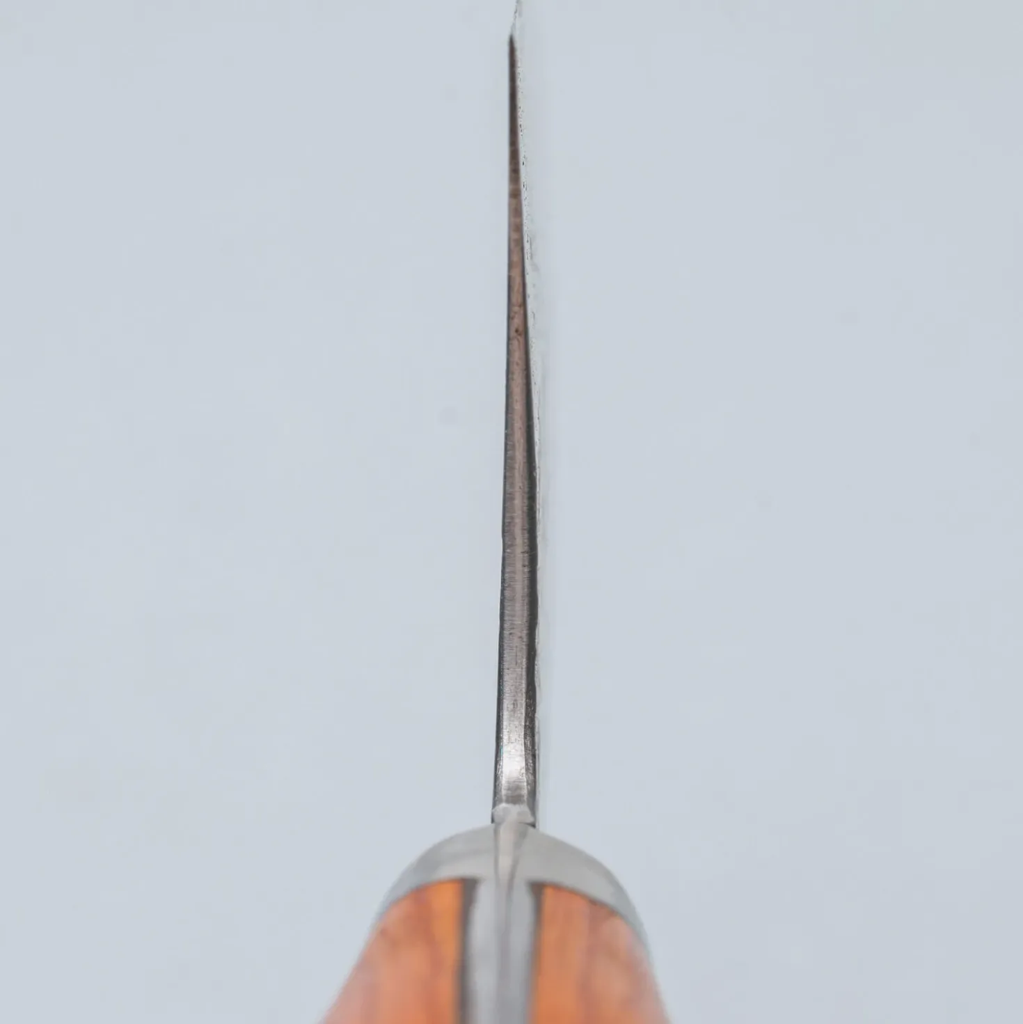 Isamitsu Shirogami #1 Kurouchi Tsuchime Yo Gyuto 21 cm
