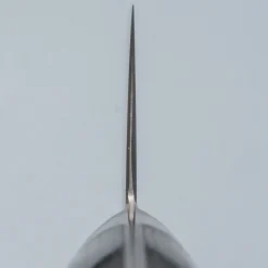 Ittetsu Aogami Super Western Gyuto 24 cm