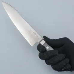 Ittetsu Aogami Super Western Gyuto 21 cm