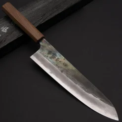 Ittetsu Shirogami Gyuto 21 cm